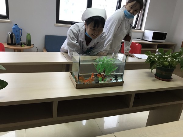 鱼趣1.png